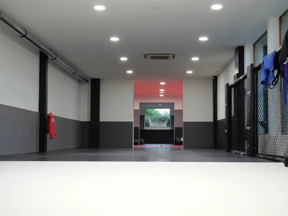 Espace MMA avec grillage de cage et tatami gris